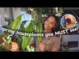 The Spring Plants you must see: Growth, Updates and *NEW* plants!🪴 🥰