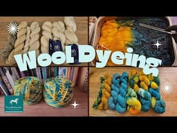 🧶  Lets dye some wool together - Spend an afternoon with me 🧶
