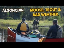 Algonquin Spring Canoe Trip: Moose, Trout & Bad Weather