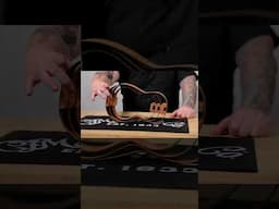 Looking for a new uke? Catch the latest ep. of Pro Tips with Dave Doll to find your perfect match!