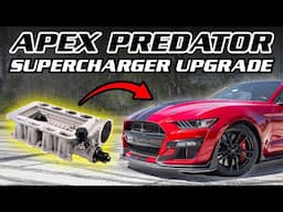 GT500 Makes 900HP with Apex Supercharger Upgrade | Dyno Results!