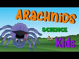 Arachnids | Science for Kids