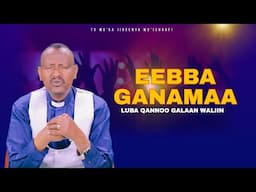 Eebba Ganamaa Luba Qannoo Galaan Waliin/ 557