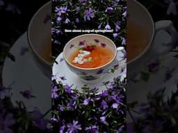 🌸a cup of springtime for you🌸#cottagecore #springtime #vintagetea #teatime #romanticizeyourlife