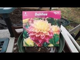Adding New Dahlia Varieties