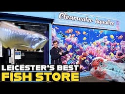 CLEARWATER AQUATICS | WALK AROUND TOUR