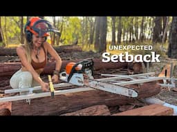 Has this split lumber blown my container home build budget?