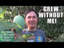 I Don’t Water My 3 Acre Farm in the Tropics… Yet It Thrives