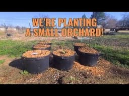 Starting Our Small Fruit Orchard with Container Fruit Trees
