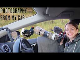 Photographing Wales' Rare Black Grouse from My Car