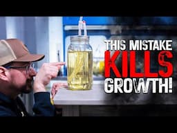 Why Your Mushrooms Won’t Grow & How to Fix It – Liquid Culture, Grain Spawn & Fruiting Secrets