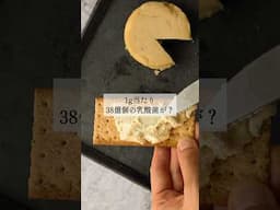 1g当たり38億個の乳酸菌？乳酸菌から育てる自家製ヴィーガンチーズ