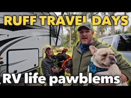 RV Life travel days just got easier! #rvlife #rvlivingfulltime #rvdogs