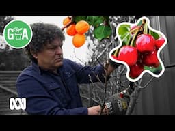 Winter Garden Prep for Summer Success! | Gardening 101 | Gardening Australia