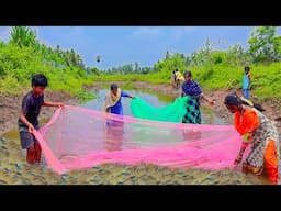 FISH CATCHING | Traditional Fish Curry | Catching Fish And Cooking In Village