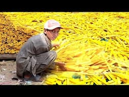 "The Journey of Struggle – These Skilled Workers Craft Wooden Scales with Dedication"
