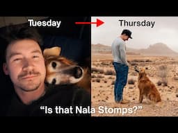 A week in the life with one of the internet's most famous dogs | Nala Stomps
