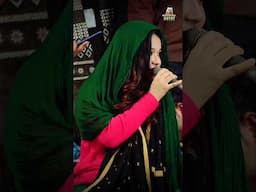 Julf Mubarak  || NEHA NAAZ  / SHAHRUKH SABRI  #officialaayat #nehanaaz #shorts #trending