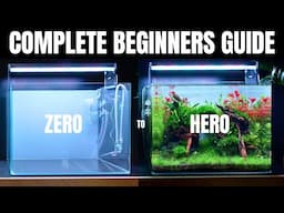 The Most Complete Aquascaping Beginners Guide I've Ever Made - Learn ALL The Basics!