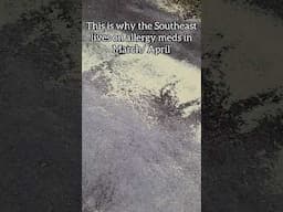 This is Pollen Season in the Southeast... #palmettoprepared