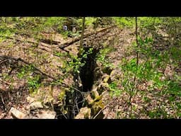 500 Foot Deep Crack In The Forest Floor
