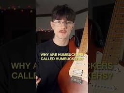 Why are humbuckers called humbuckers #guitar #guitarist #guitartalk #guitarpickups #beginnerguitar