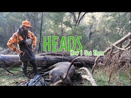 Heads an How I Got Em 4
