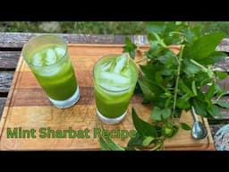 Mint Lemonade Recipe - Mint Sharbat- Drink Recipe