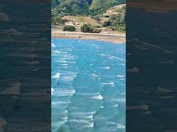 #like #share #comment #kiwilife #subscribe #newzealand #Viral, #Trending,  #GoViral, #ViralContent