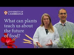 What can plants teach us about the future of food?