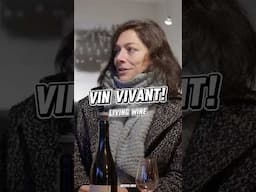 What is a natural wine?  A #VinVivant? A living wine? It’s about energy. Domaine #Bobinet explains