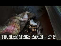 SHOCKING Discovery on the Path of the Skinwalker | Thunder Strike Ranch | Episode 2