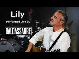 Lily - Carl Baldassarre [Music Video]