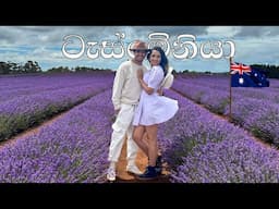 ඕස්ට්‍රේලියාවේ ලස්සනම දූපත | Tasmania Travel Vlog | Hello Explorers