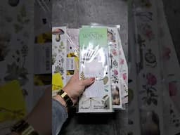 ✨ HUGE Sticker Haul! || Rub-on Transfer Sticker Reviews ✨