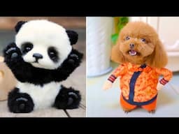 Funniest Animals 2025 😂 Best Funny Cats and Dogs 😻🐶 Part 4 | Cute Baby Dogs