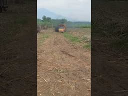 detik detik truk tebu hampir gulung