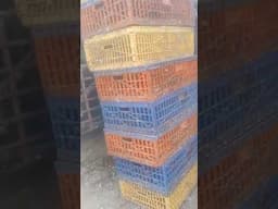 Live raid upon illegal slaughterhouses in Smart City Faridabad