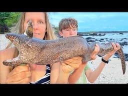 Hunting the BIGGEST Moray EEL We’ve Ever Seen (it was delicious)