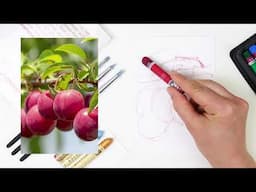 SketchBox how-to: Let's learn blending with oil pastels