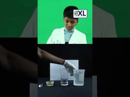 Oil and Water Separation | Simple Science Experiment for Kids Kids