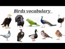 Birds vocabulary with spelling, birds name, English to Telugu tutorials