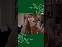 Trying a non-whistling E string on my violin #violin