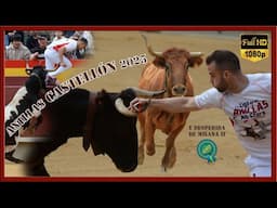 CONCURSO ANILLAS CASTELLÓN (23/03/2025) y despedida de Milana II