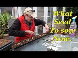 Which Veg Seed to Sow In April