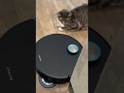 This Robot Vacuum Has LEGS?! 🤯 Dreame X50
