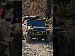 4 runner slotted rotors