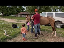 Check In with AMIRA- rescue Arabian!