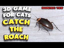 3D game for cats | CATCH THE COCKROACH (isometric view) | 4K, 60 fps, stereo sound
