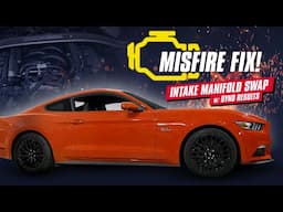 Gen 2 Coyote P0300 & P0308 misfire codes SOLVED! Does it affect Power? Fix w/ Dyno Results